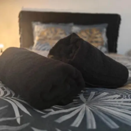 Apartmán T2 A Proximite Des Commerces - 1 A 4 Pers - *