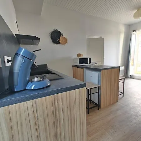 T2 A Proximite Des Commerces - 1 A 4 Pers - *